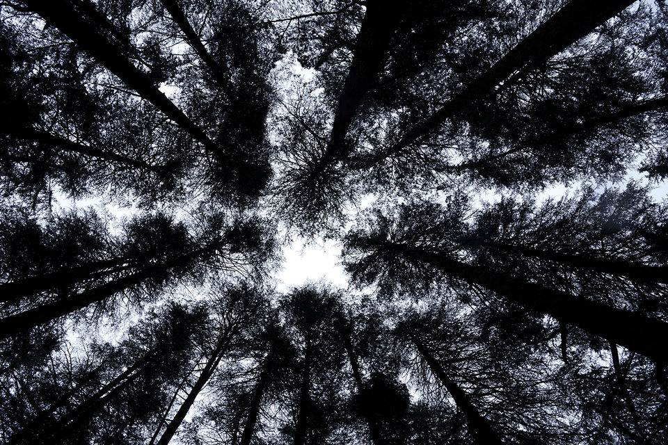 Photo of An incredible journey to Spiti 6/79 by Nimit Nigam