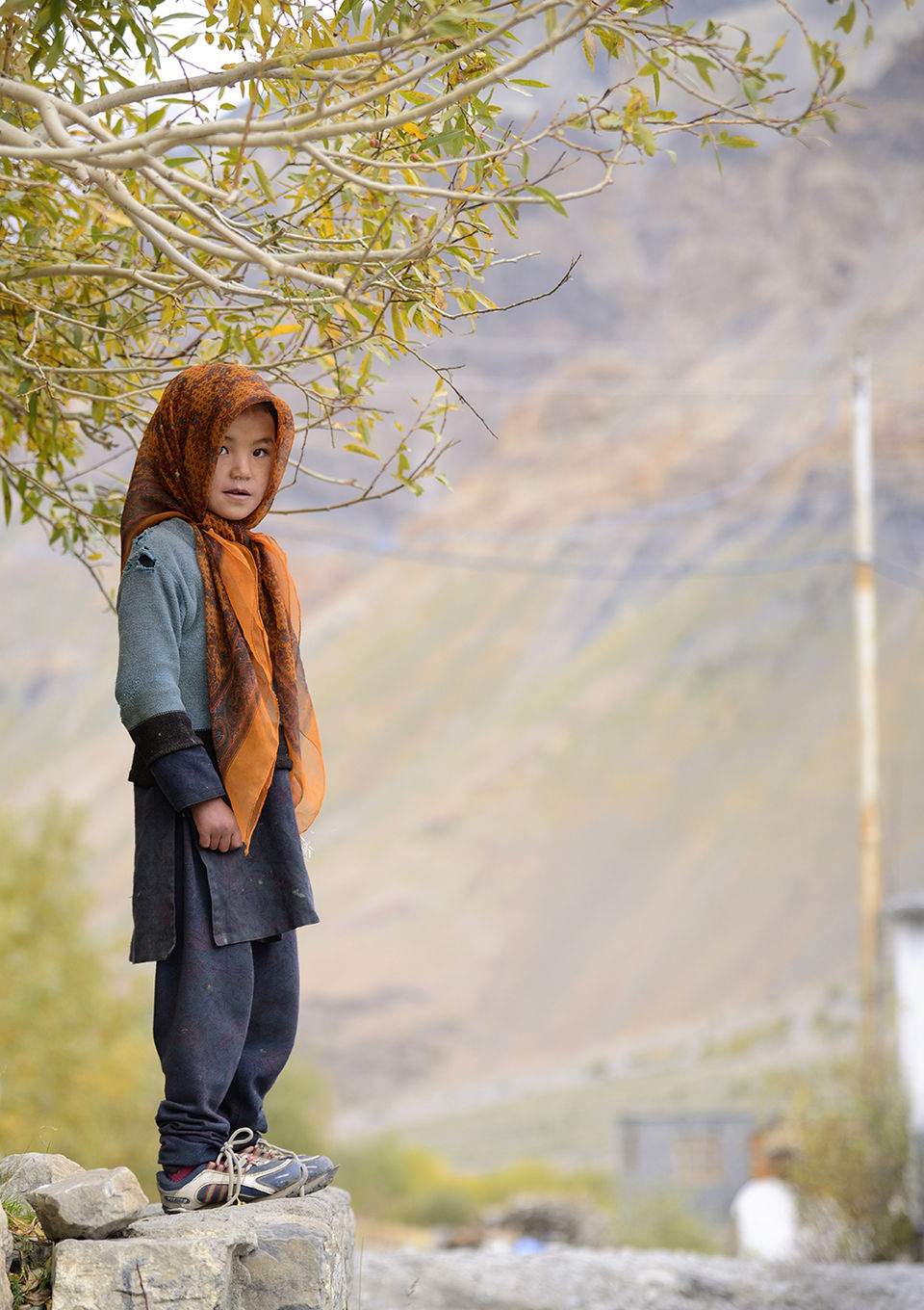 Photo of An incredible journey to Spiti 79/79 by Nimit Nigam