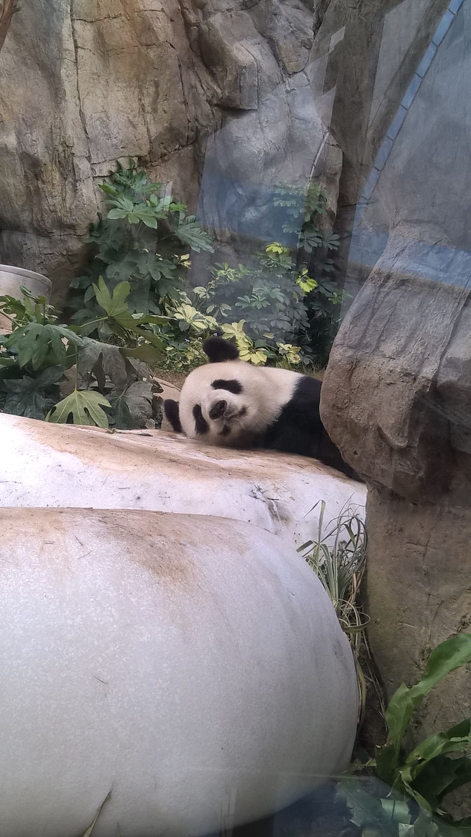 Photo of Why your next trip should be to Hong Kong and Shenzhen ? 20/22 by Rajeshwari Sen