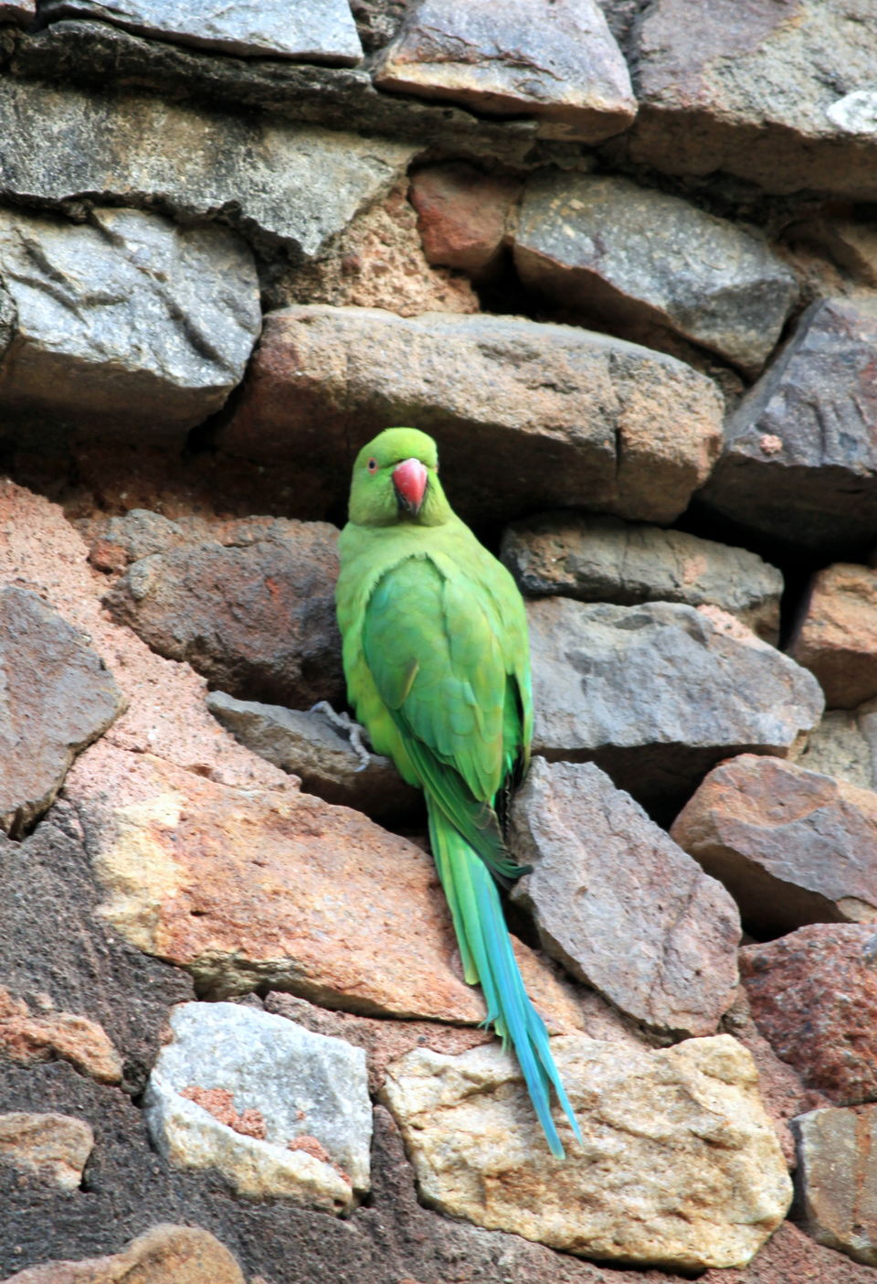 Photo of Delhi A dash of history and modernity. 17/25 by Abhay Kumar