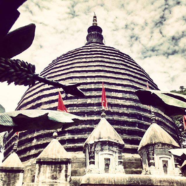 Photo of Not just Jungles: Exploring Assam! 12/14 by Shreya Guha