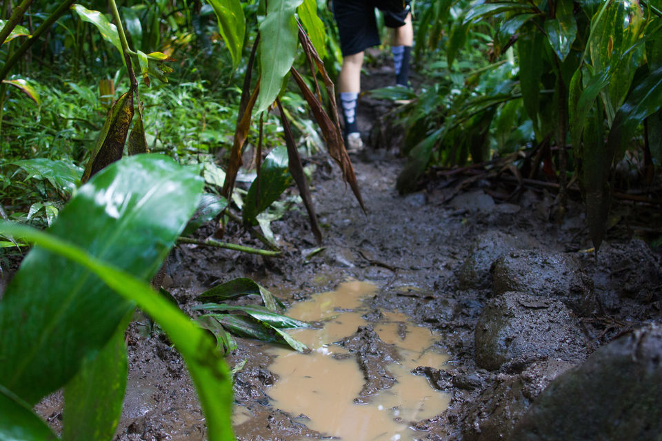 Photo of The Journey to Ka'au Crater - Oahu, Hawaii 4/11 by Jackson Groves