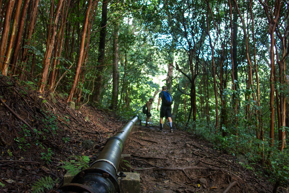 Photo of The Journey to Ka'au Crater - Oahu, Hawaii 5/11 by Jackson Groves
