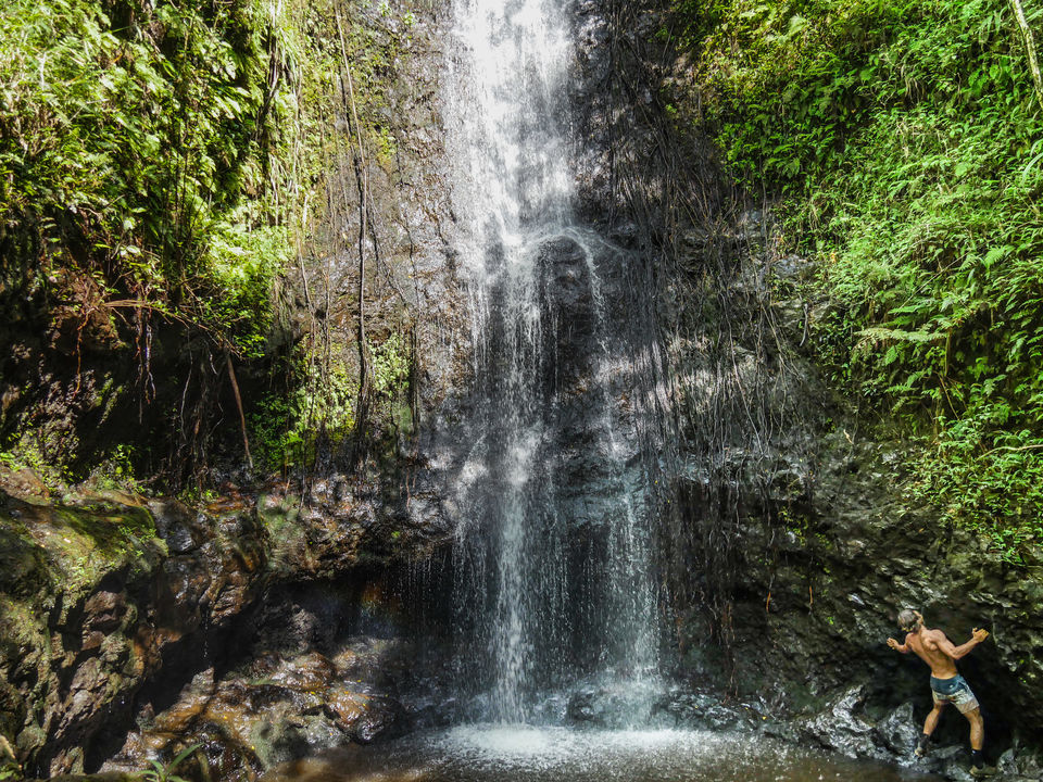 Photo of The Journey to Ka'au Crater - Oahu, Hawaii 6/11 by Jackson Groves