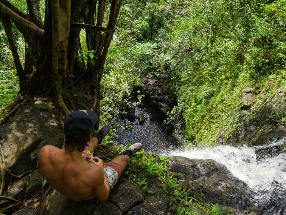 Photo of The Journey to Ka'au Crater - Oahu, Hawaii 7/11 by Jackson Groves