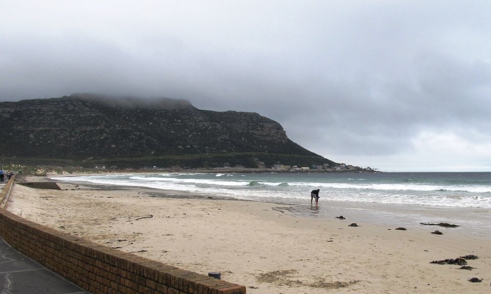 Photo of South Africa - The Icing on the Cake 8/16 by Pushpa Kurup