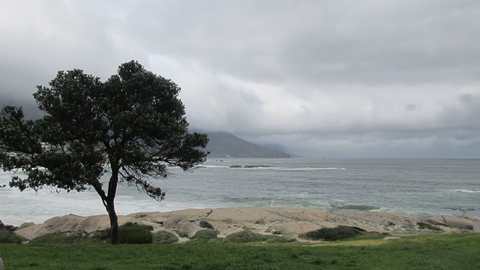 Photo of South Africa - The Icing on the Cake 16/16 by Pushpa Kurup
