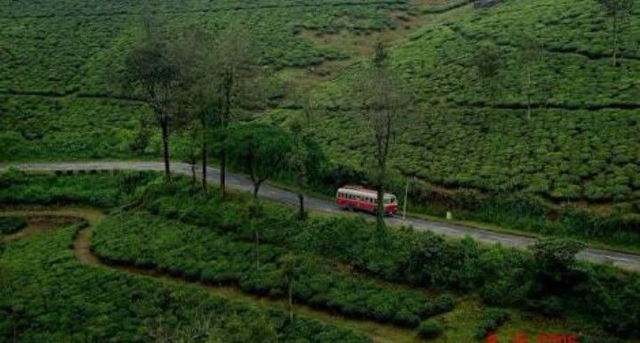 Photo of Pacifying expedition for a lost soul 3/7 by Neha Kumar
