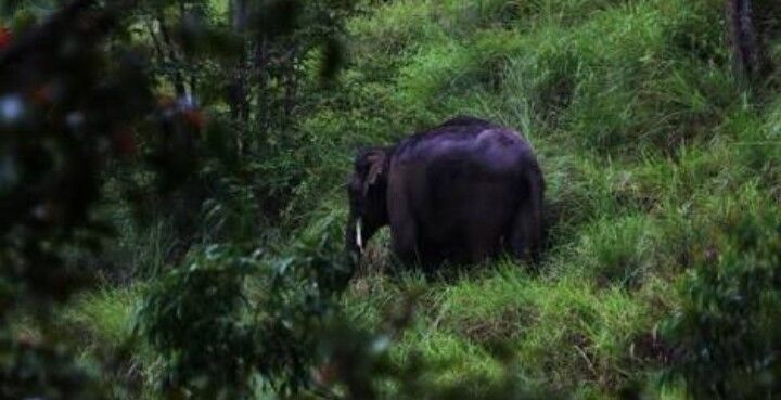 Photo of Pacifying expedition for a lost soul 5/7 by Neha Kumar