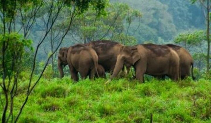 Photo of Pacifying expedition for a lost soul 7/7 by Neha Kumar