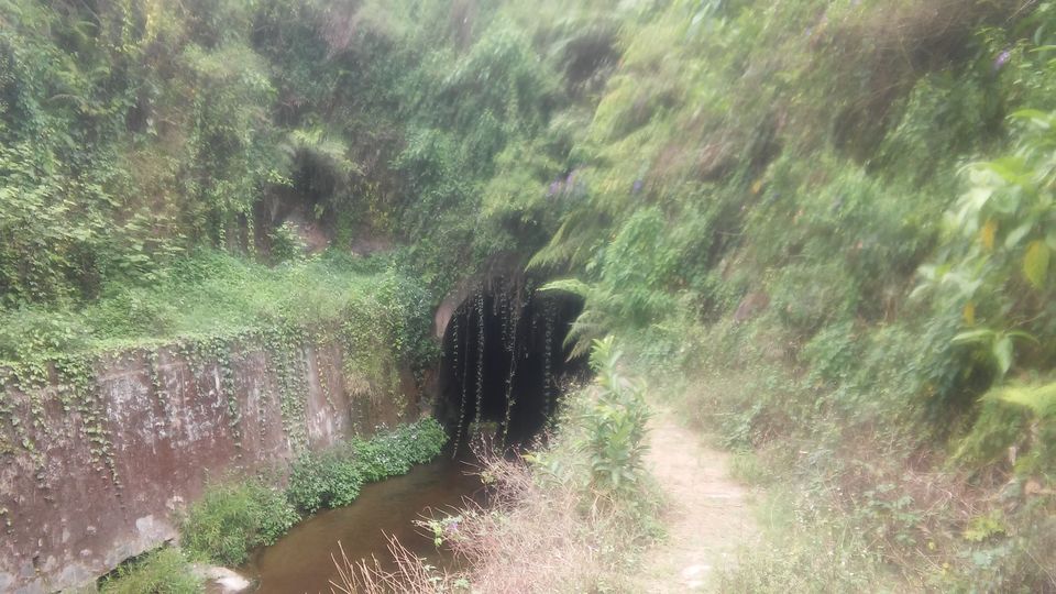 Photo of A Bike Ride in Western Ghats - Valparai 39/59 by adithyan sivaraman