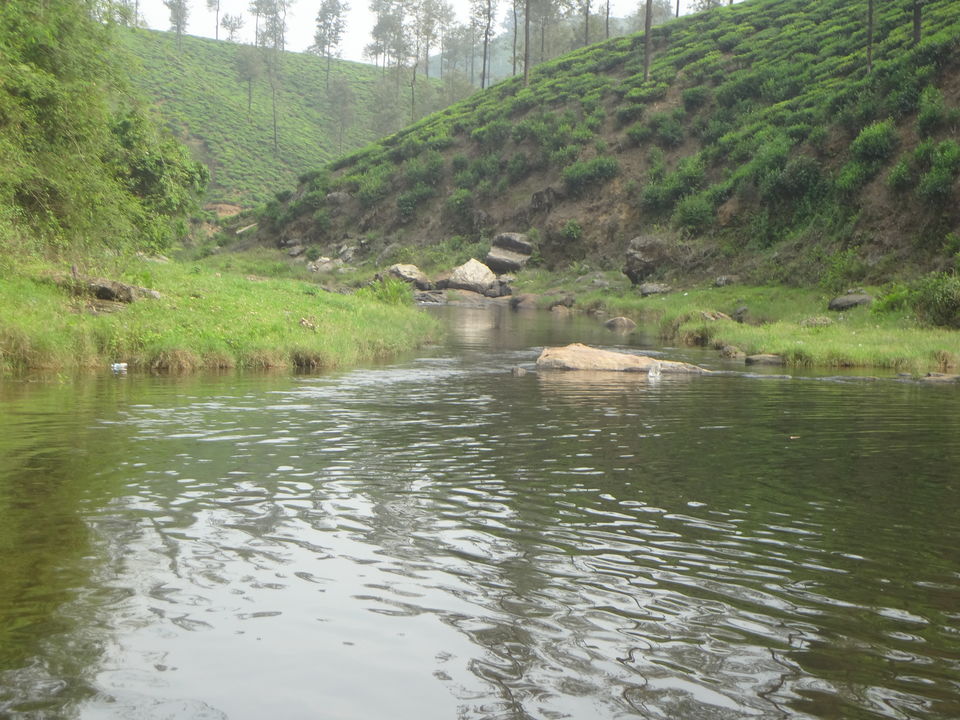 Photo of A Bike Ride in Western Ghats - Valparai 44/59 by adithyan sivaraman