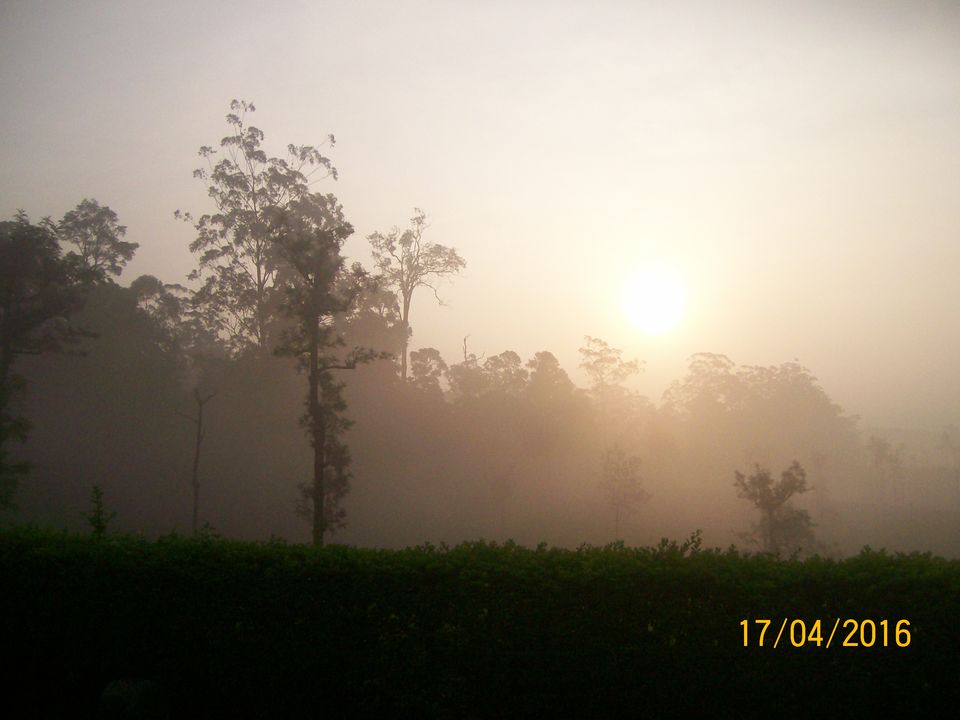 Photo of A Bike Ride in Western Ghats - Valparai 46/59 by adithyan sivaraman
