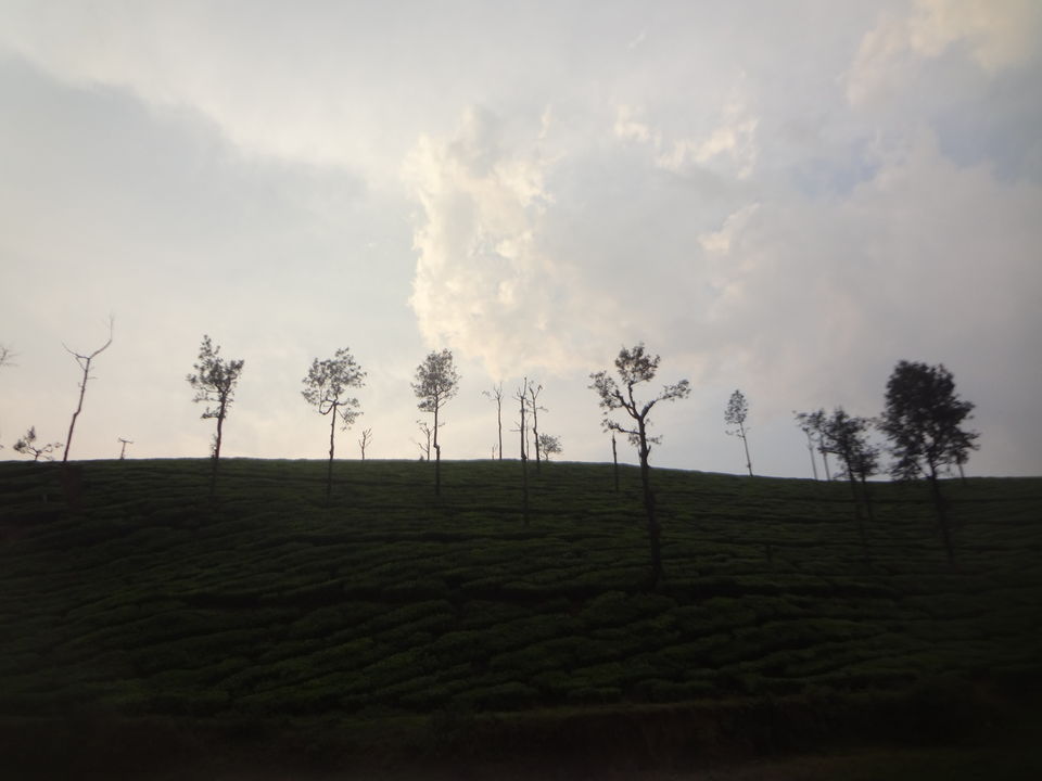 Photo of A Bike Ride in Western Ghats - Valparai 56/59 by adithyan sivaraman