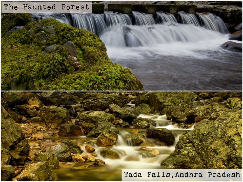 Photo of 8 Places In India That Will Put Your Game of Thrones Destinations To Shame 1/8 by Gunjan Upreti
