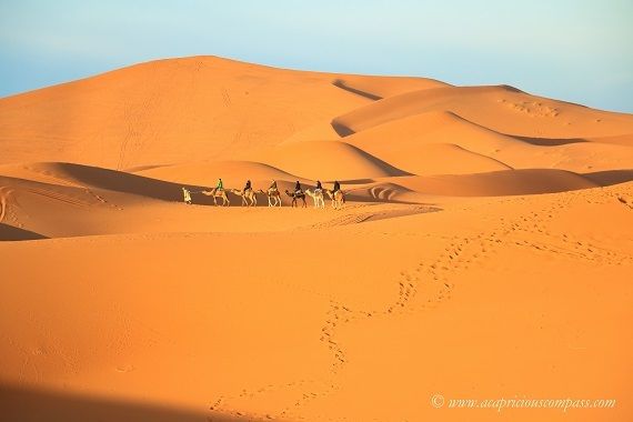 Photo of Why You Could Travel Full-Time and Not Be Paid for it 5/5 by Lavina Dsouza