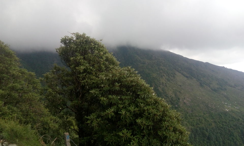 Photo of Triund-in the lap of nature 1/6 by Rohan Kapoor