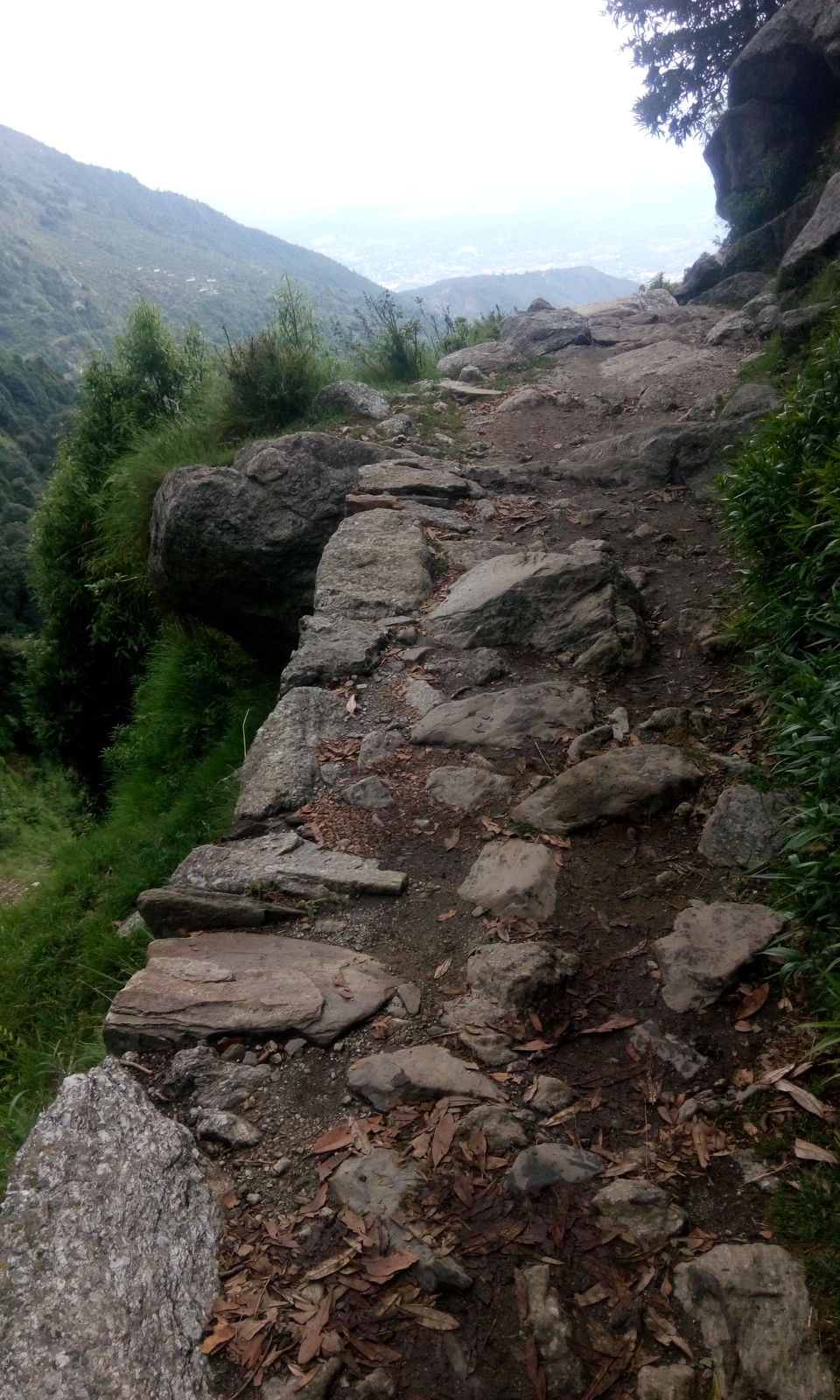 Photo of Triund-in the lap of nature 2/6 by Rohan Kapoor