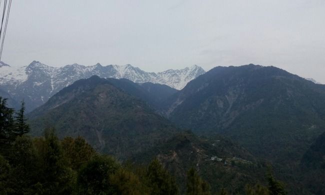 Photo of Gateway to North India 15/15 by Chetna Patil