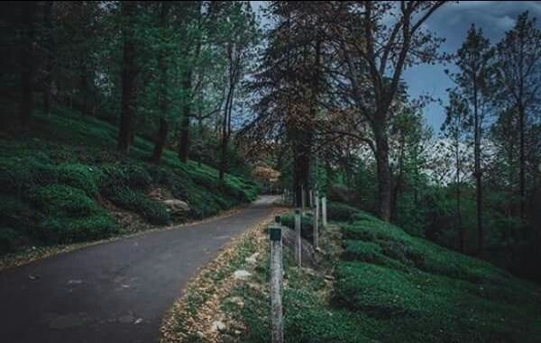 Photo of Gateway to North India 1/15 by Chetna Patil