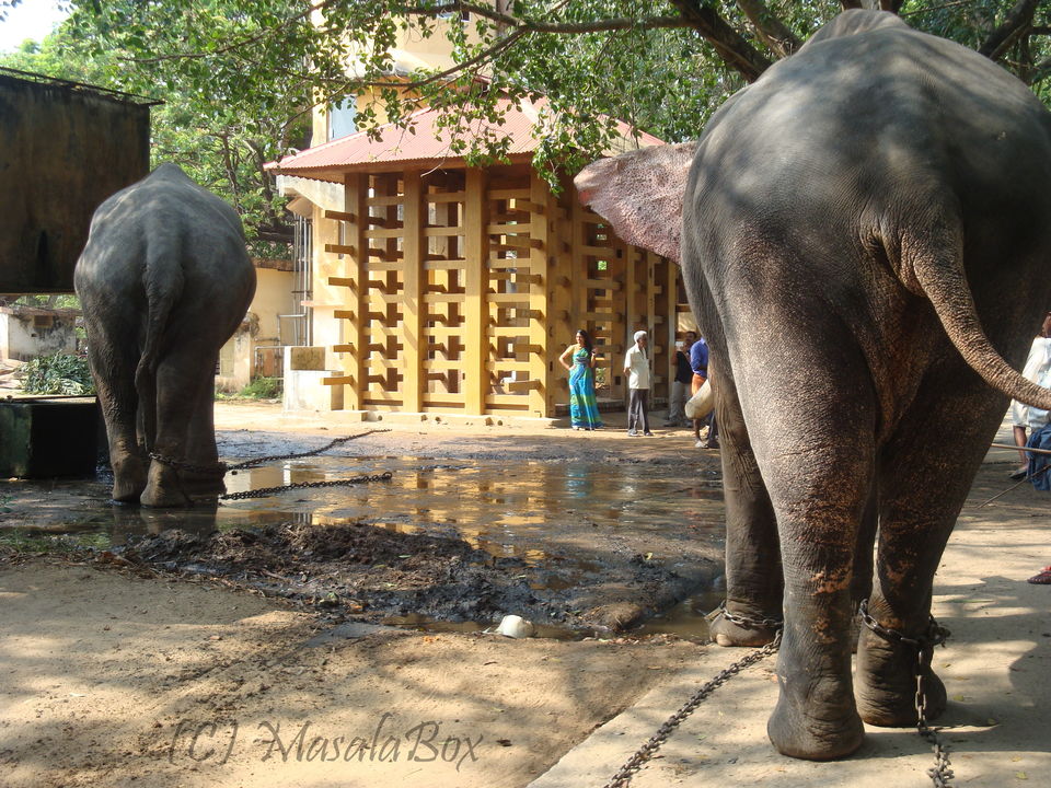 Photo of 10 Travel Destinations That Brought Environmental Awareness In Me 6/10 by Chittra Kumar