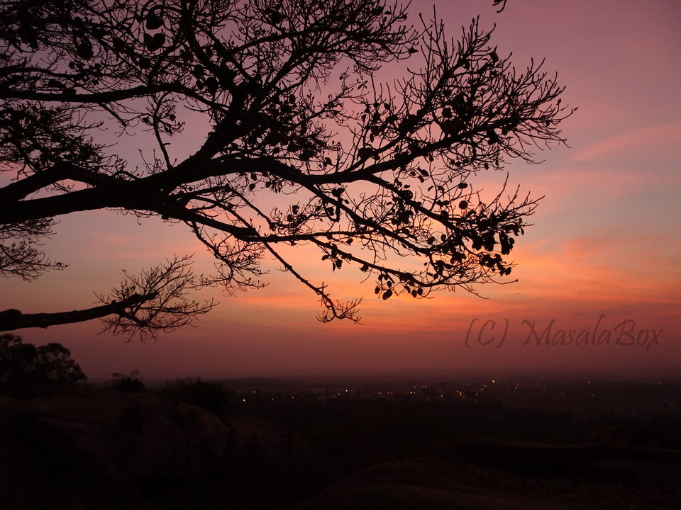 Photo of 10 Travel Destinations That Brought Environmental Awareness In Me 9/10 by Chittra Kumar