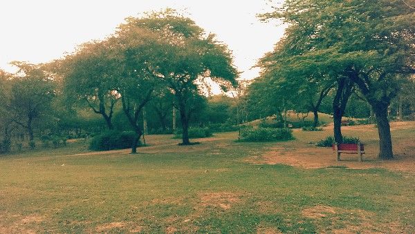 Photo of The Secreted Assets Of Mehrauli 11/11 by Bhaavan Goswami