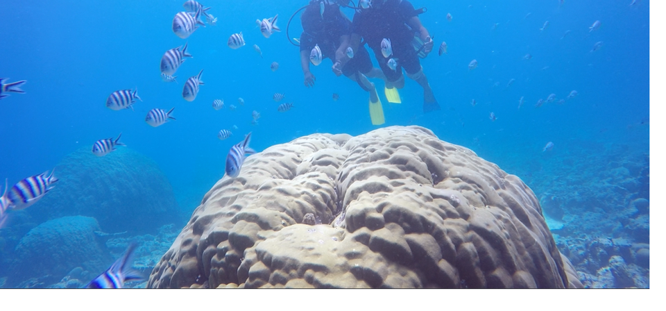 Photo of Trip to Mauritius 12/12 by Hetal Patel