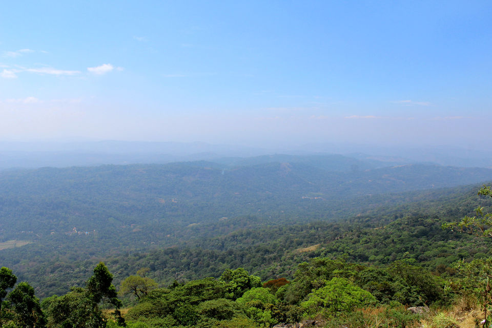 Photo of Munnar it is!! 8/16 by Meghana Jambhe