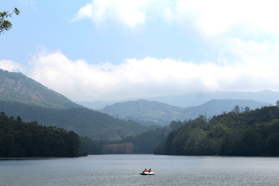 Photo of Munnar it is!! 11/16 by Meghana Jambhe