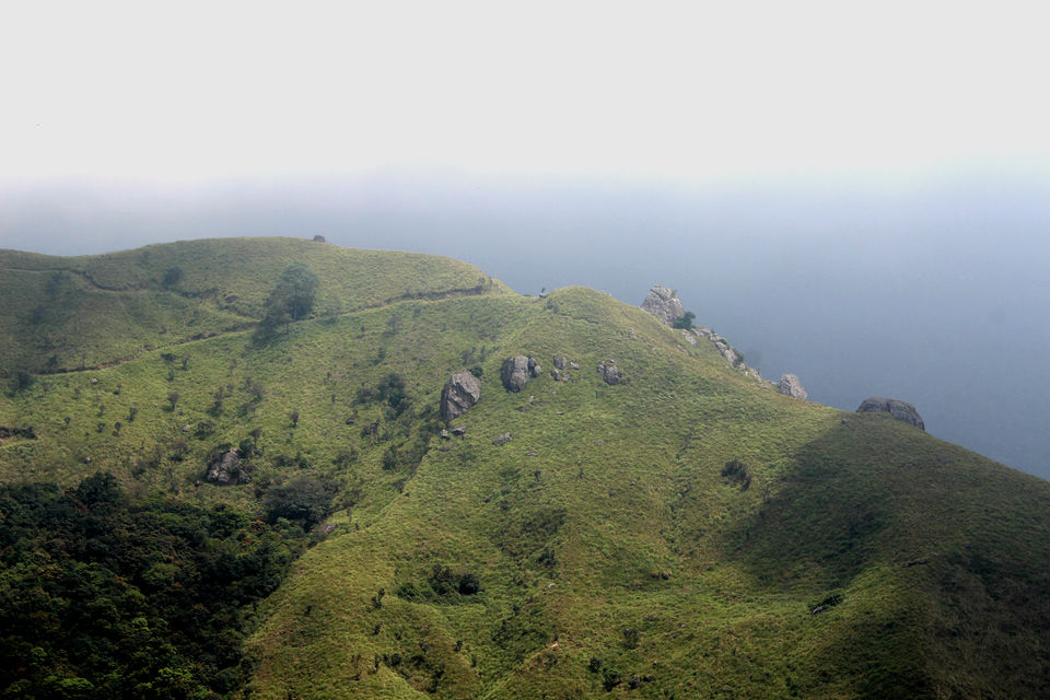 Photo of Munnar it is!! 12/16 by Meghana Jambhe