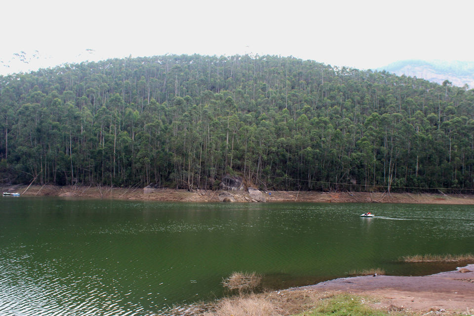 Photo of Munnar it is!! 13/16 by Meghana Jambhe