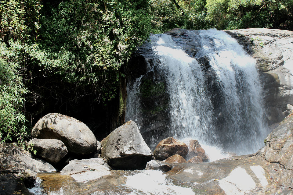Photo of Munnar it is!! 16/16 by Meghana Jambhe