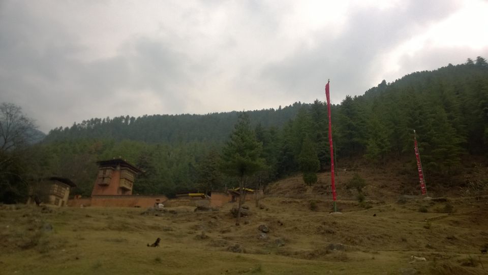 Photo of Bhutan : The land of Compassion and the Compassionate. 44/47 by Bidisha