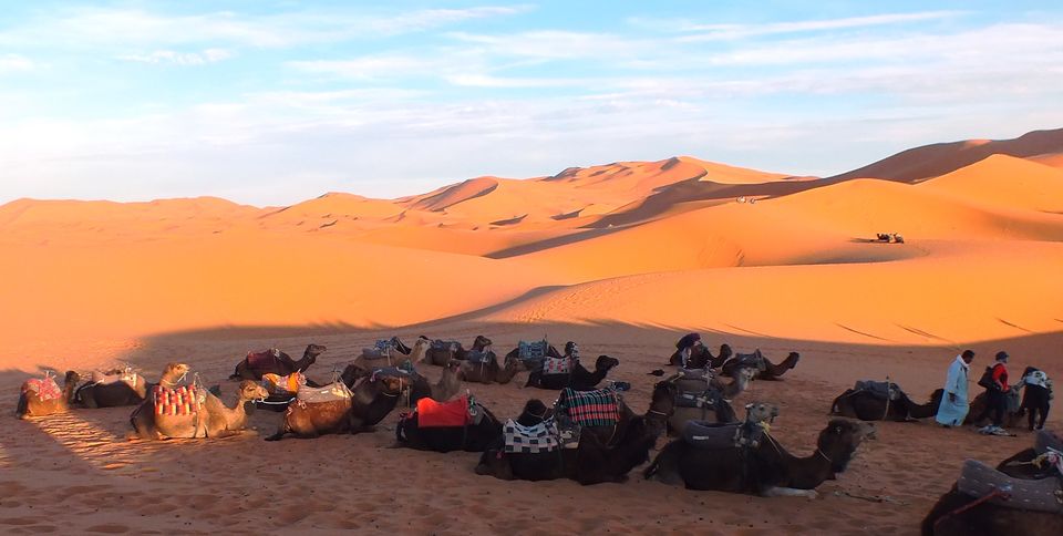 Photo of Magical, Mystical MOROCCO! 8/11 by Pushpa Kurup