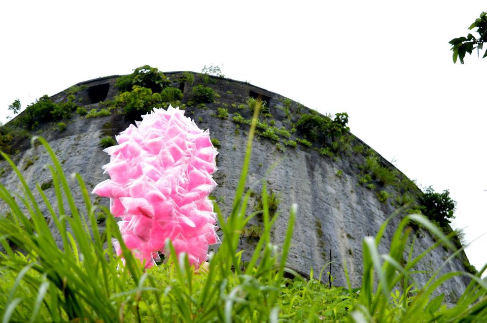 Photo of Let's Lohagad! 5/17 by Paras Mohamed