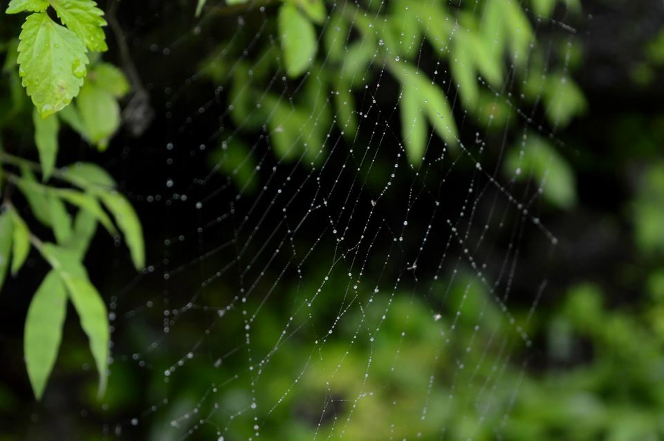 Photo of Let's Lohagad! 8/17 by Paras Mohamed