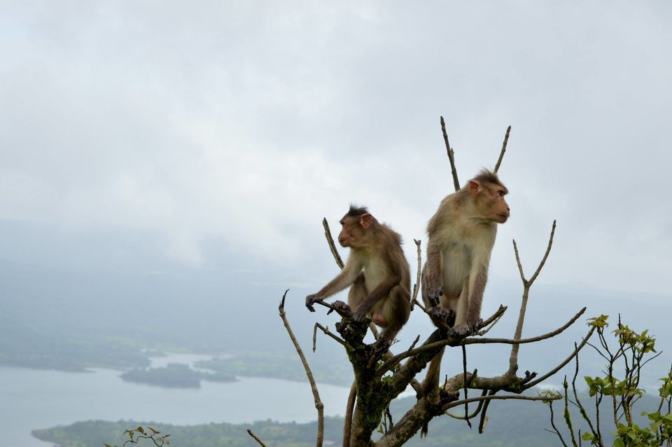 Photo of Let's Lohagad! 10/17 by Paras Mohamed