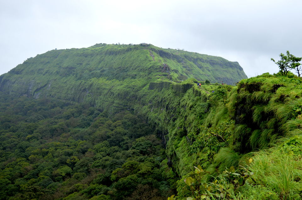 Photo of Let's Lohagad! 15/17 by Paras Mohamed
