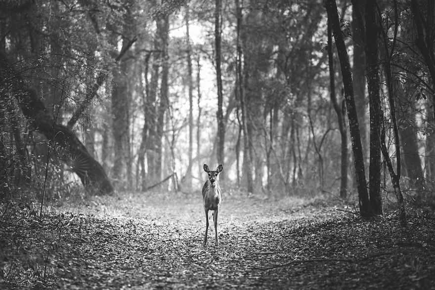 Photo of The man who sold his everything to fulfil his dream of travelling the country with his family. 12/29 by Le Voyageur