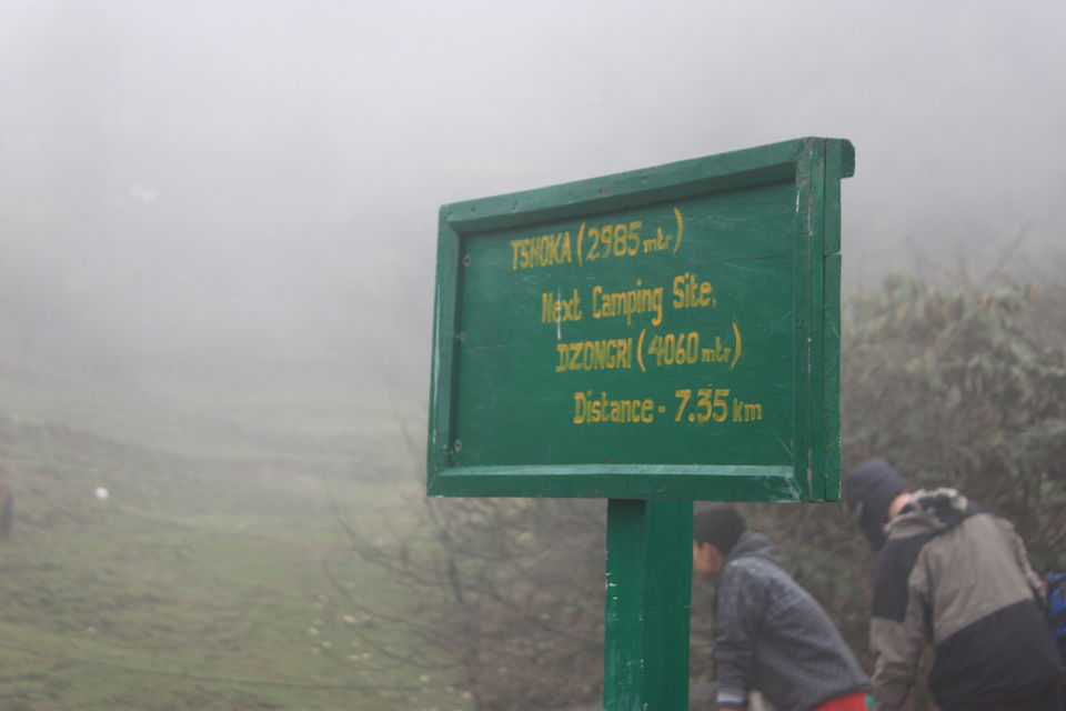 Photo of The Abode Of Snow: A Journey To Goecha La 21/32 by Riyanka Roy