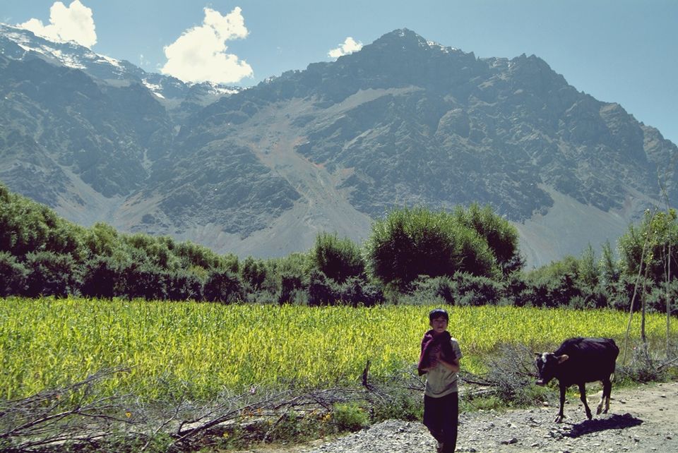 Photo of 7 Trips Every Mother Wants But Doesn't Ask For- The Most Relevant Mother's Day Gift Guide 5/9 by Sreshti Verma