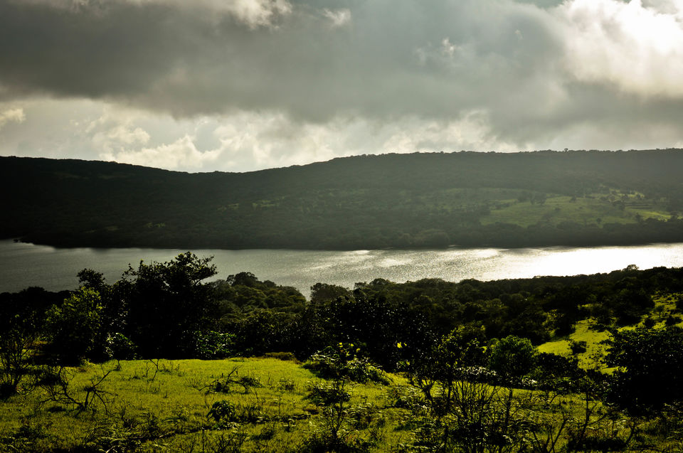 Photo of Monsoon Mumbai – Kaas: the plateau of flowers 4/5 by Ayan