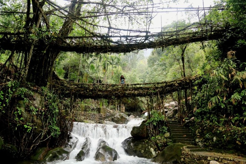 Photo of Meghalaya: For the love of Rain 21/26 by anila