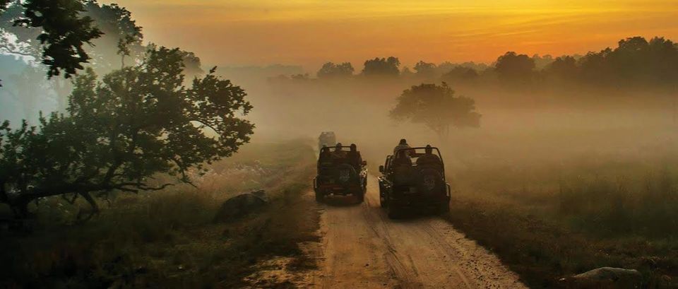 Photo of 10 Best Resorts in India That Are Destinations In Themselves 4/20 by Disha Kapkoti