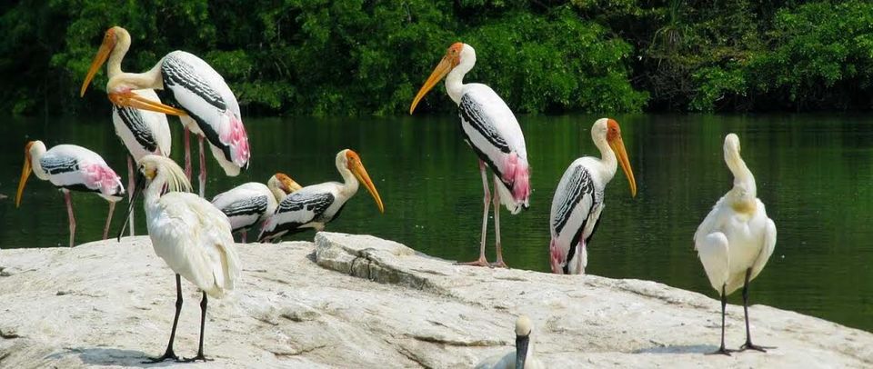 Photo of 10 Best Resorts in India That Are Destinations In Themselves 6/20 by Disha Kapkoti