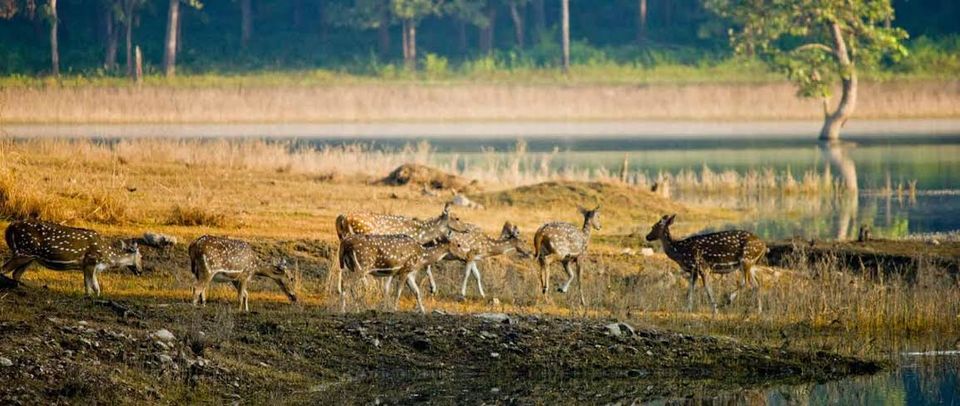 Photo of 10 Best Resorts in India That Are Destinations In Themselves 10/20 by Disha Kapkoti