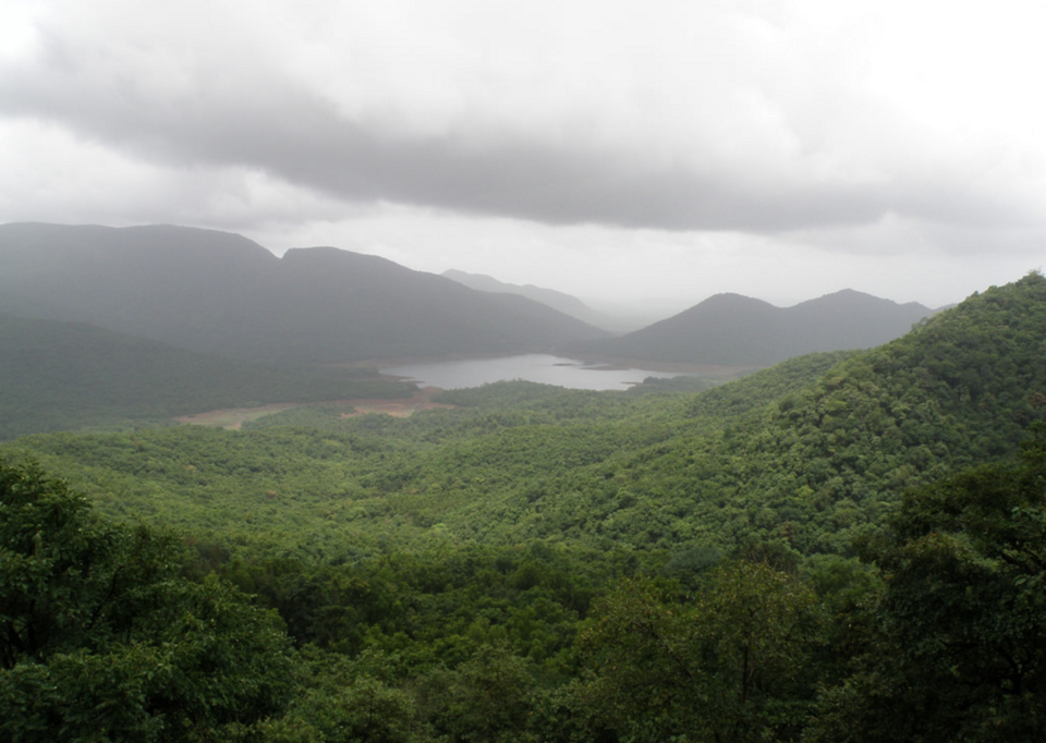 Photo of 9 Reasons Goa Is So Much More Than Just Its Beaches 5/17 by Gunjan Upreti