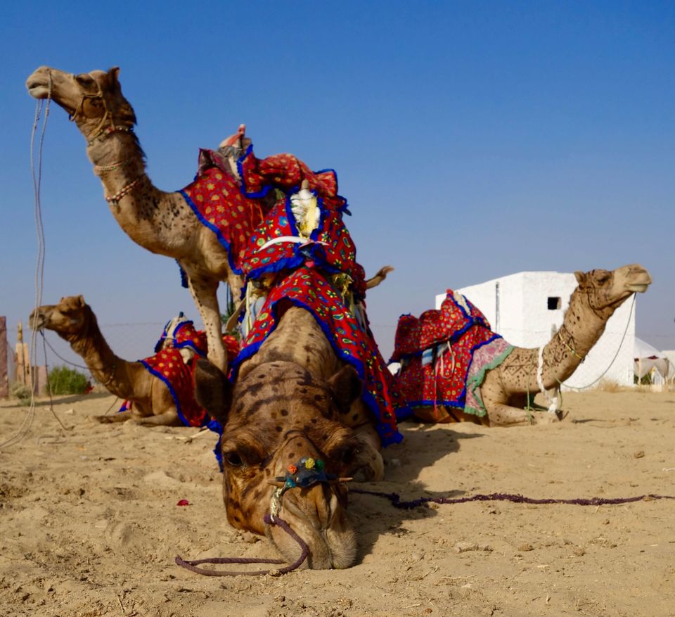 Photo of Of Unending Gold and Scintillating Smiles: A Rendezvous with Jaisalmer 46/53 by Mariya Darakshan