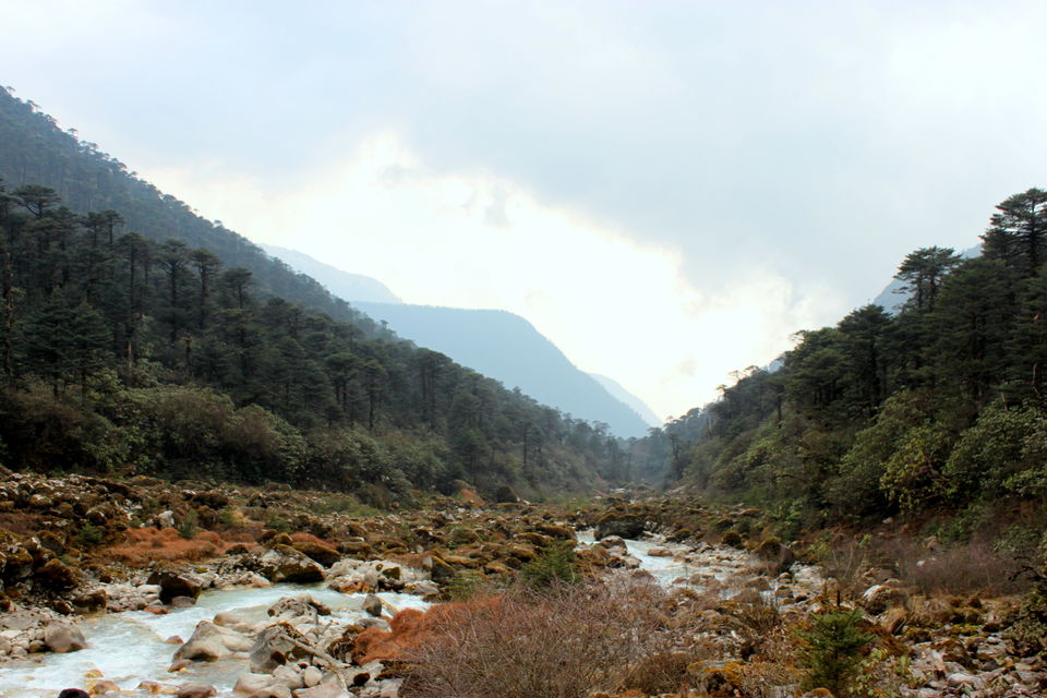 Photo of The Abode Of Snow: A Journey To Goecha La 27/32 by Riyanka Roy